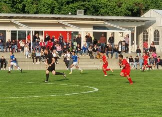 Team Seetal C steht im Cupfinal!