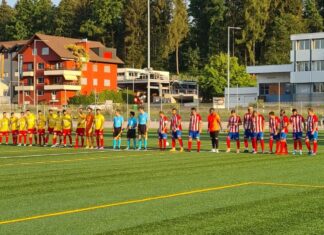 Goldau verliert gegen Rotkreuz mit 8:0