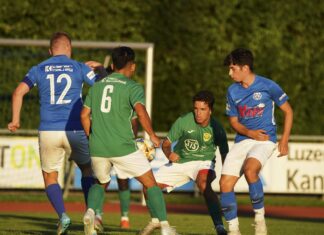 Hochdorf startet mit neun neuen Spielern