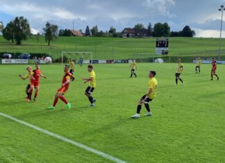 SK Root erkämpft sich Punkt gegen Gunzwil