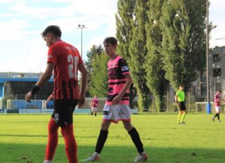 Sursee unterliegt Kickers