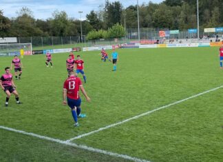 Sieg gegen Sursee: Cham II verteidigt Tabellenspitze