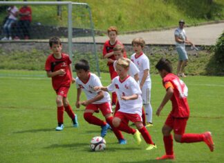 Küssnacht: Vereine laden zum Probetraining