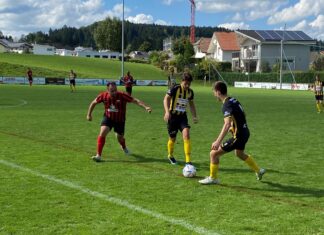 Gunzwil mit verdientem Heimsieg gegen Kickers