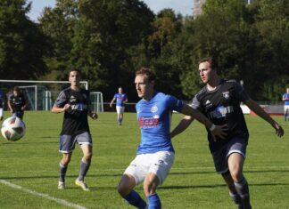 Sins siegt nach 0:2-Rückstand gegen Hochdorf