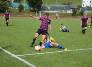 Küssnachter mit breiter Brust