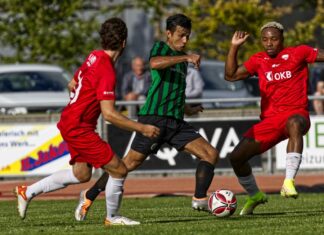 Luzerner SC schlägt Sarnen