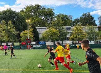 Starker Beginn reicht Goldau zum Sieg gegen OG