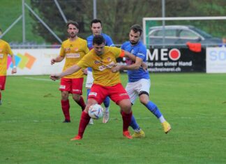 Goldau gewinnt souverän gegen Hochdorf