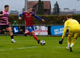 Brunnen siegt gegen Sursee verdient