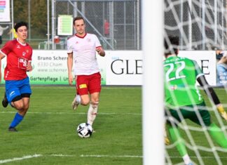 Brunnen vernascht Cham II