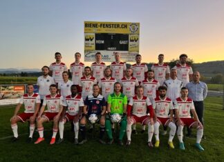 FC Triengen: Ohne Schweiss zu 3 Punkten