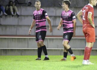 FC Sursee: Vierte Partie in Folge ungeschlagen