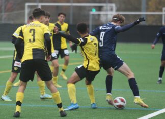 FCL U18 verliert gegen YB – U17 mit Remis gegen Leader