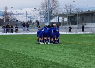 TEAM Zugerland U15 verliert gegen Zofingen