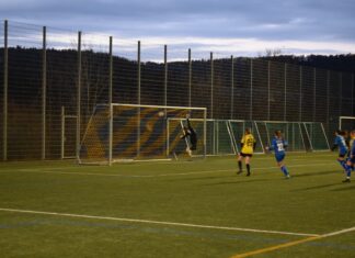 Auftaktpleite für Küssnachter Frauen