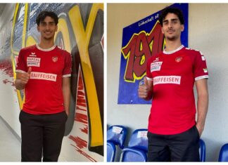 Cham verpflichtet Esteban Petignat