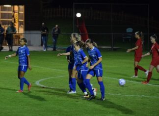 Küssnachterinnen mit Heimspiel gegen Biel