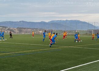 Sins startet mit Heimniederlage gegen Horw