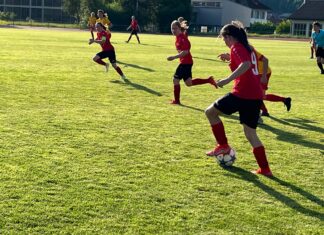 Zwei verlorene Punkte für Willisau