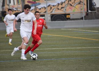 Gegen Sins: Siegesserie des FC Willisau geht weiter