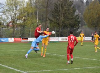 Willisau vergibt einen Sieg gegen Horw