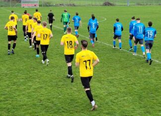 Gegen Algro: Erste Heimniederlage für Grosswangen-Ettiswil