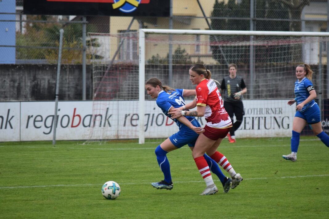Bild-2-3-1