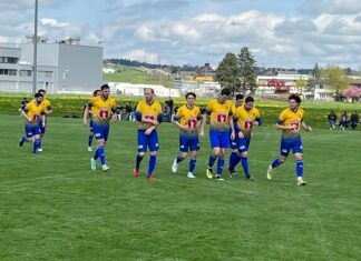 Triengen unterliegt im Spitzenspiel gegen Knutwil