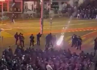 Experte: «Stadionverbote für Fankurve wären kontraproduktiv»