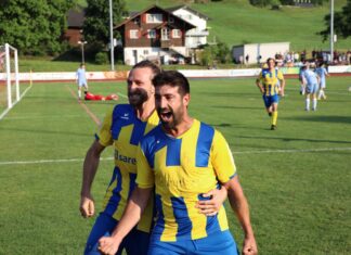 Entfesselte Küssnachter zerlegen Zug 94