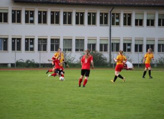 FC Willisau: Nichts zu holen bei den Aufsteigerinnen