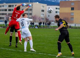 Emmen mit Niederlage gegen Gambarogno