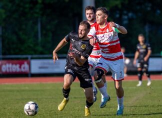 Eschenbach: Überzahlspiel gegen Sursee nicht ausgenutzt