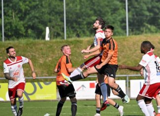 Triengen verliert erstes Heimspiel gegen Nebikon