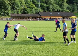 Effizientes Zell bodigt dezimiertes Wolhusen