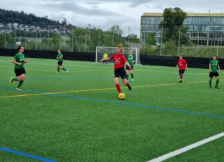 Schwarzer Nachmittag für Willisau