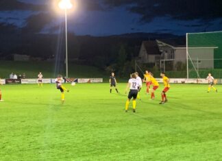 Gunzwil unterliegt starkem Leader Horw