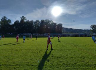 Dominantes Nottwil baut Siegesserie gegen Triengen aus