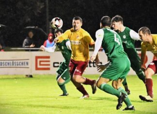 Offensiv harmlose Goldauer verlieren gegen Zofingen