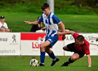 Ibach gewinnt harziges Spiel auswärts in Sins