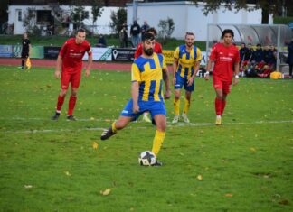 Küssnacht ringt dezimiertes Willisau nieder