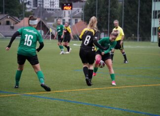 Gegen Stans-Engelberg: Willisau mit dritter Niederlage in Folge