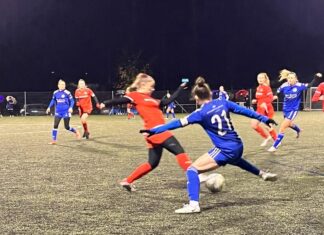 Die Löwinnen mit Sieg gegen den SC Schwyz