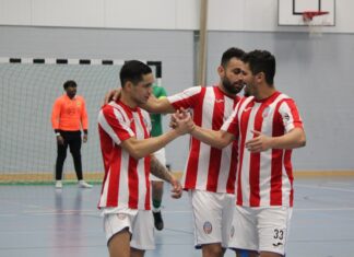 Sieg gegen den SCK – Wiesel stehen in den Playoffs!