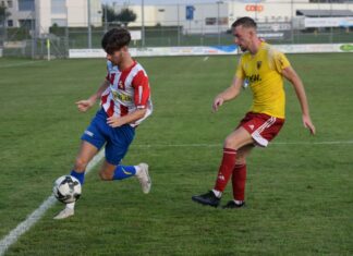 Küssnacht gegen Sempach gefordert