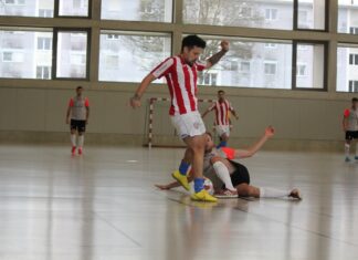 Wiesel verlieren Playoff-Final Hinspiel!