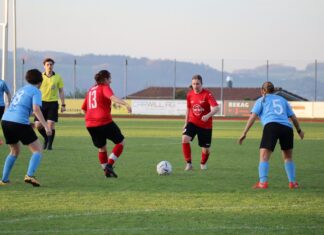 Missglückter Rückrundenstart für Willisau