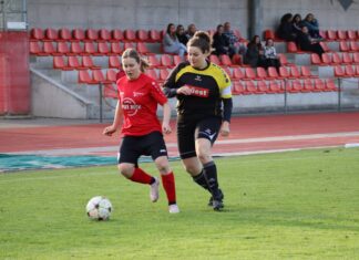 Willisauerinnen siegen im Derby