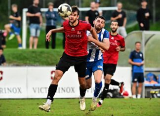 Zurück auf die Erfolgsspur – Schattdorf will gegen Horw Punkten